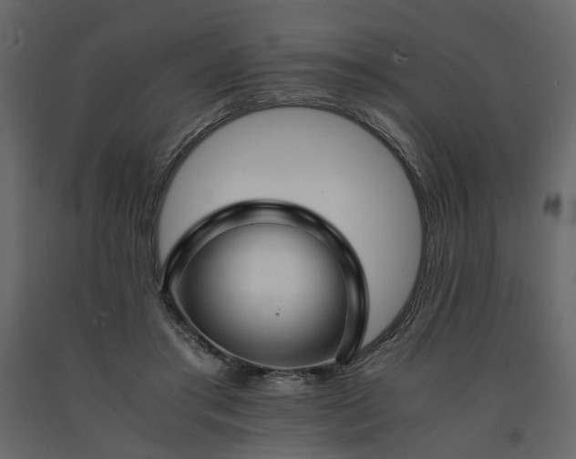 X0000091540405200708241738
