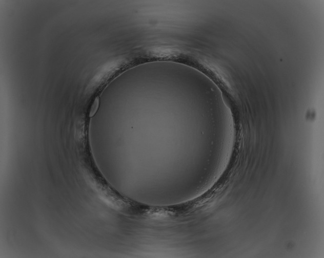 X0000091540407200708241738