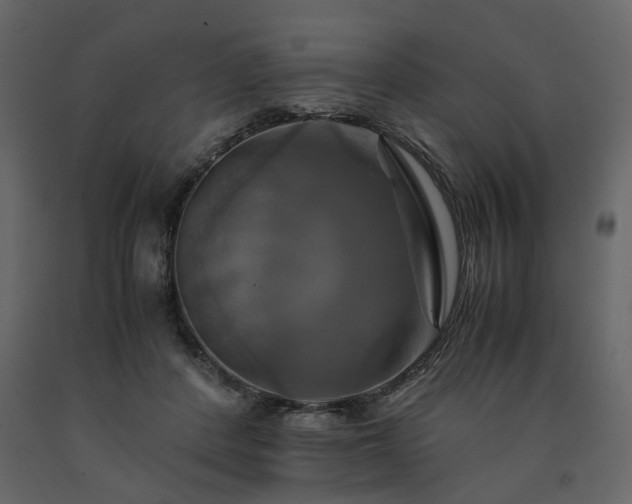 X0000091540408200708241738