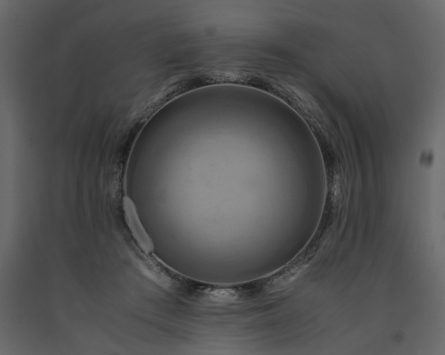 X0000091540409200708241738