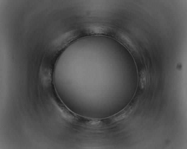X0000091540410200708241738