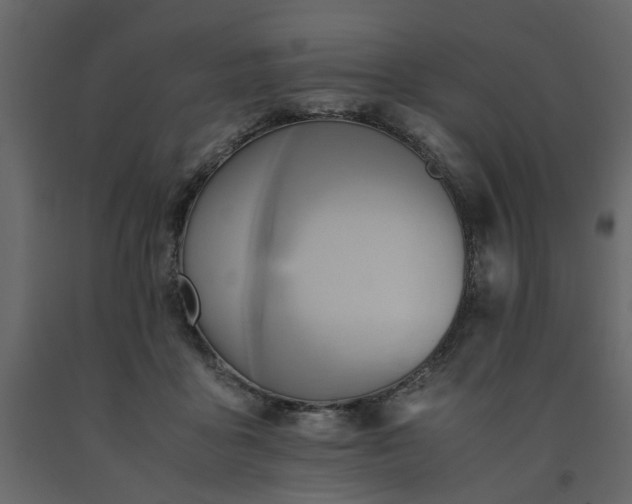 X0000091540411200708241738