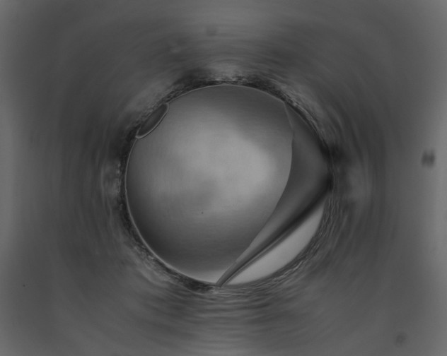 X0000091540413200708241738
