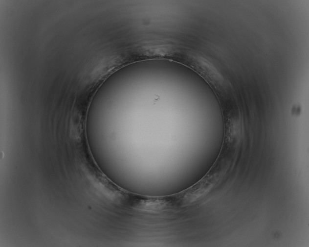 X0000091540414200708241738