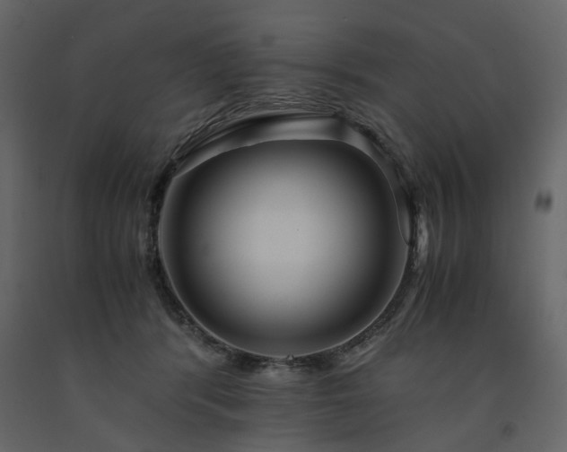 X0000091540416200708241738