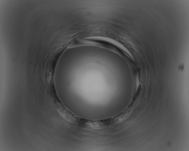 X0000091540417200708241738