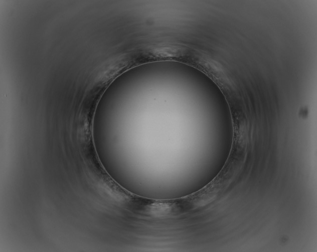 X0000091540418200708241738