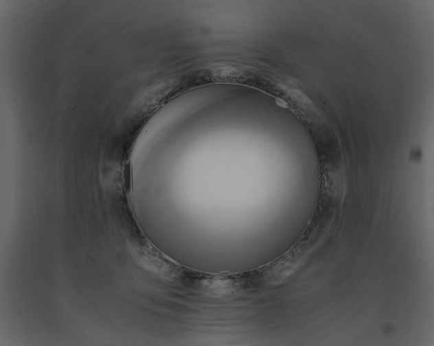 X0000091540419200708241738