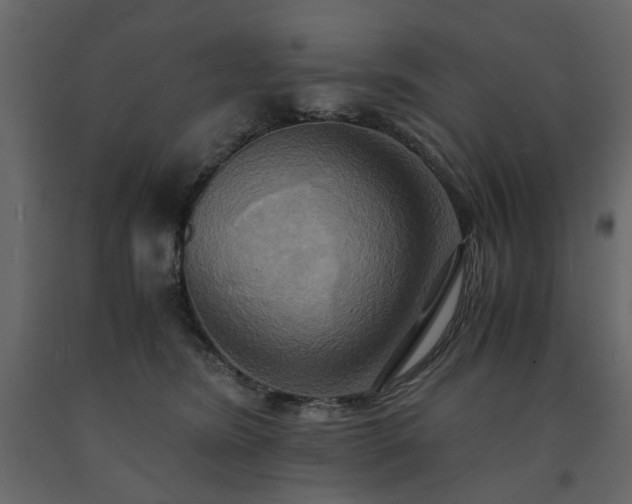 X0000091540420200708241738