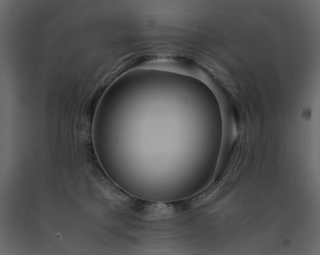 X0000091540421200708241738