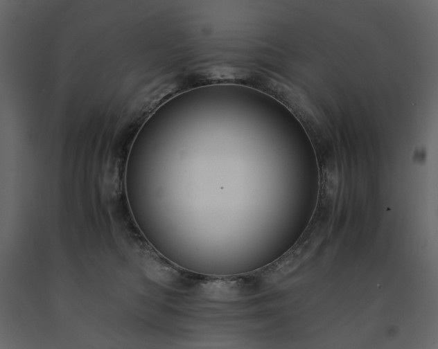 X0000091540422200708241738