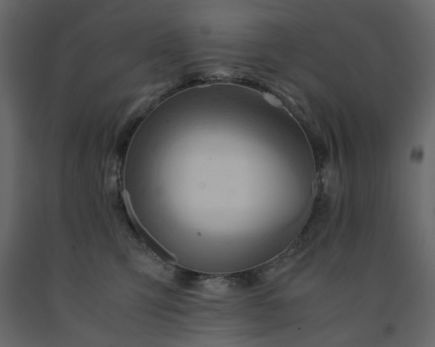 X0000091540423200708241738