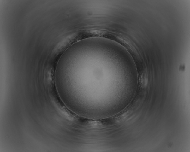 X0000091540424200708241738