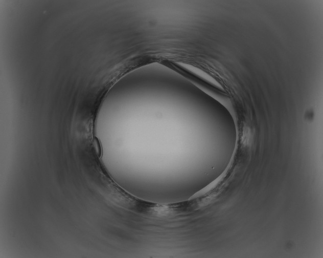 X0000091540425200708241738