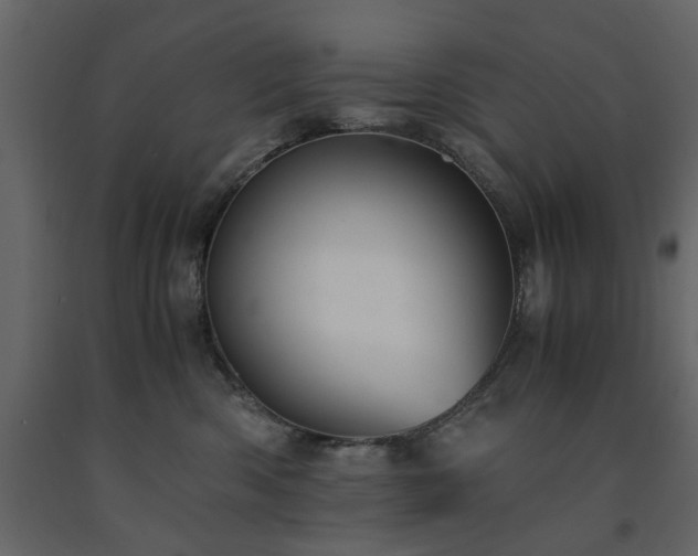 X0000091540426200708241738