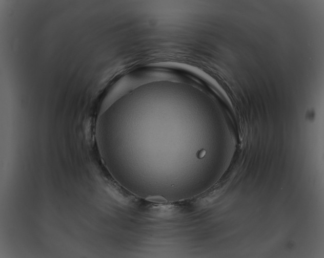 X0000091540428200708241738