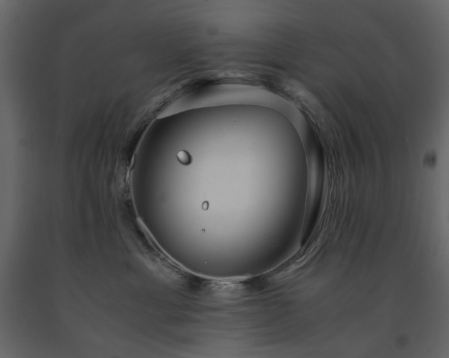 X0000091540429200708241738