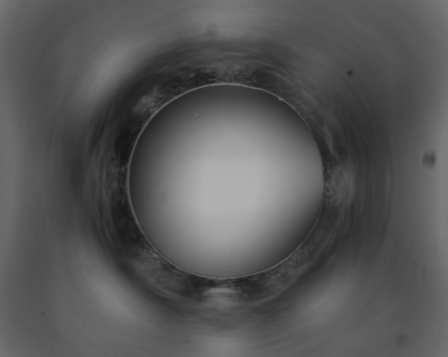 X0000091540430200708241738