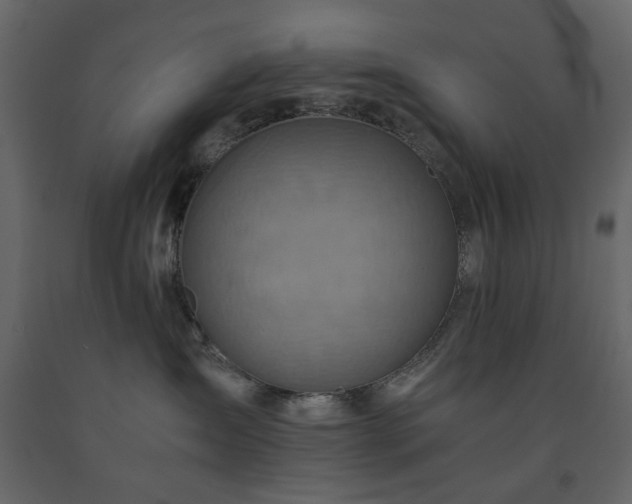 X0000091540431200708241738