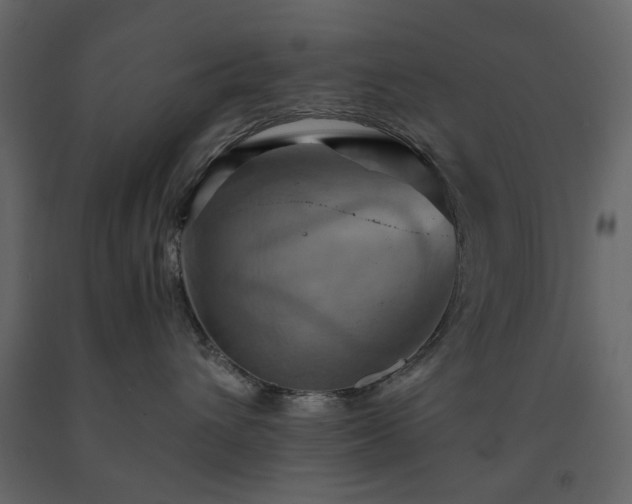 X0000091540432200708241738