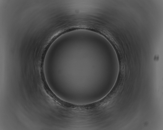 X0000091540434200708241737