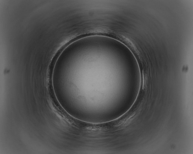 X0000091540435200708241737
