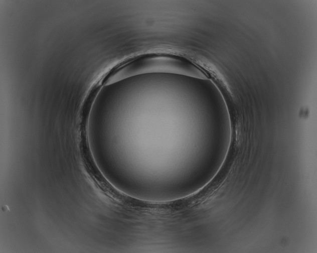 X0000091540436200708241737