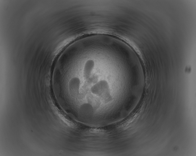 X0000091540437200708241737