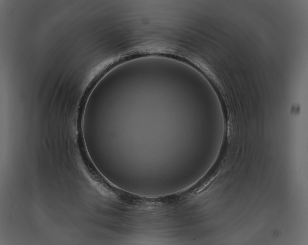 X0000091540438200708241737