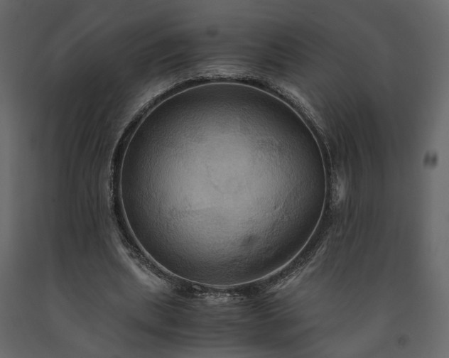 X0000091540439200708241737