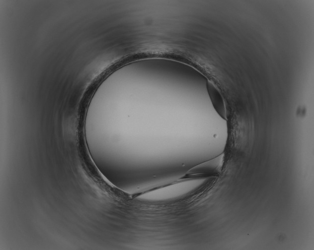 X0000091540440200708241737