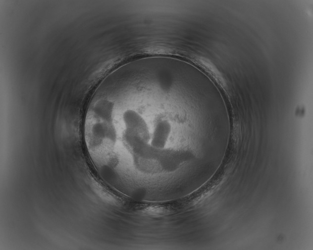 X0000091540441200708241737