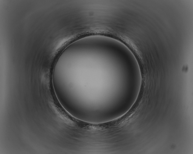 X0000091540442200708241737