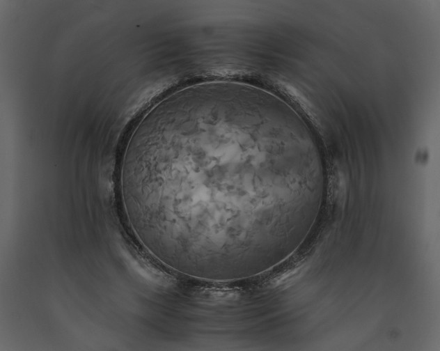 X0000091540443200708241737