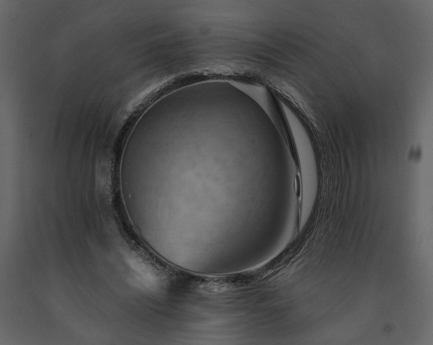 X0000091540444200708241737