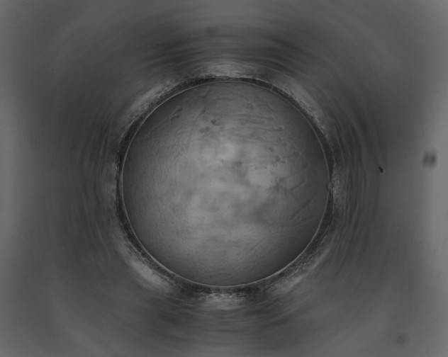 X0000091540445200708241737