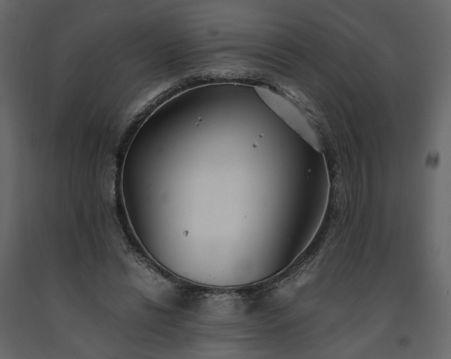 X0000091540446200708241737