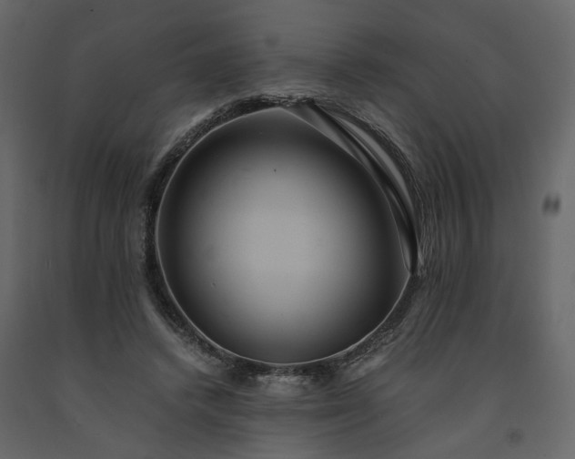 X0000091540448200708241737