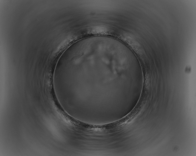 X0000091540449200708241737