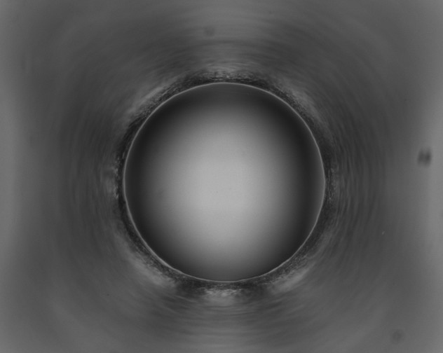 X0000091540450200708241737