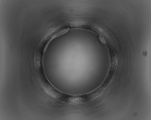 X0000091540452200708241737