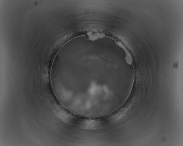 X0000091540453200708241737
