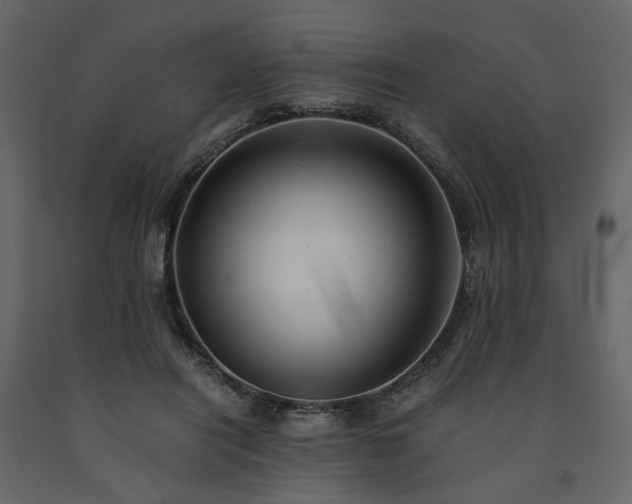 X0000091540454200708241737