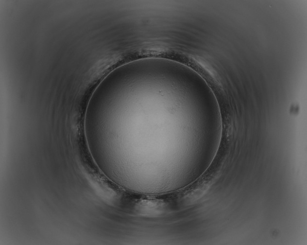X0000091540455200708241737