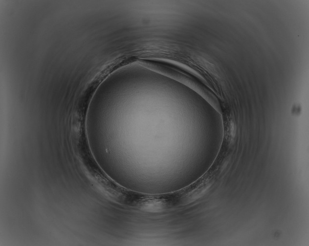X0000091540456200708241737