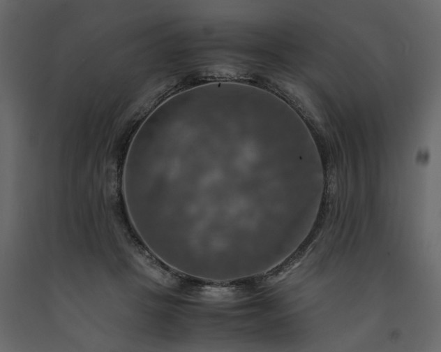 X0000091540457200708241737