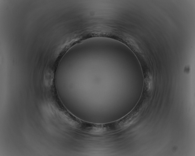 X0000091540458200708241737