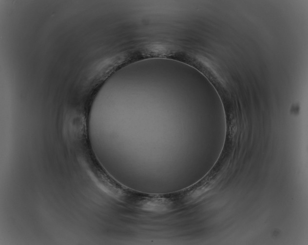 X0000091540459200708241737