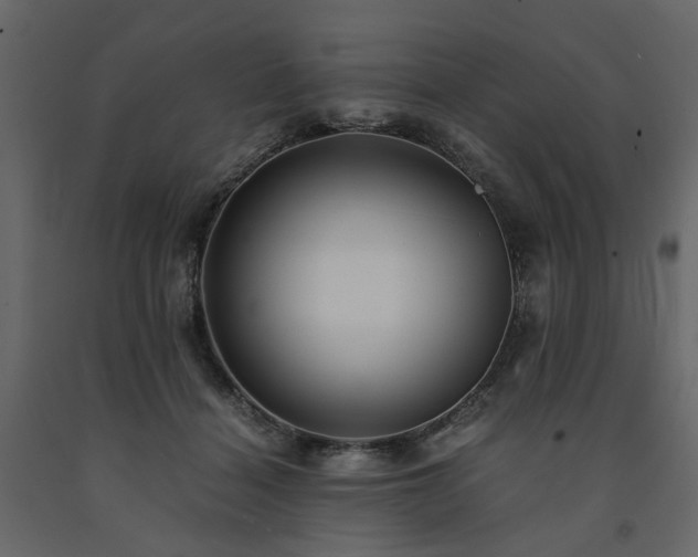 X0000091540460200708241737