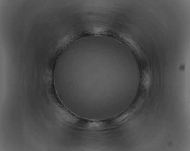 X0000091540461200708241737